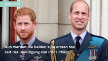 Dianas 60. Geburtstag: Versöhnen sich Harry & William