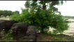 झालावाड़ जिले में मूसलाधार बारिश, चवली नदी उफान पर कई गांवों का सम्पर्क कटा