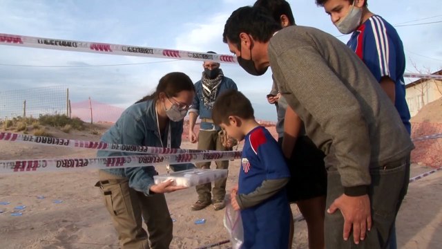اكتشاف 160 بيضة متحجرة في الأرجنتين لطيور من حقبة ما قبل التاريخ