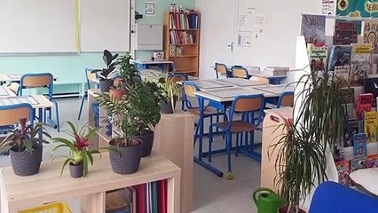 Vaucluse : un conseiller départemental de 71 ans décroche enfin son Bac avec mention_IN