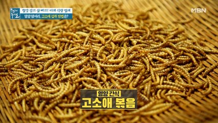 영양 가득 미래 식량 고소애 섭취법은?