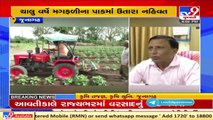Farmers change pattern, begin sowing cottonseed instead of groundnut.  Junagadh | TV9News