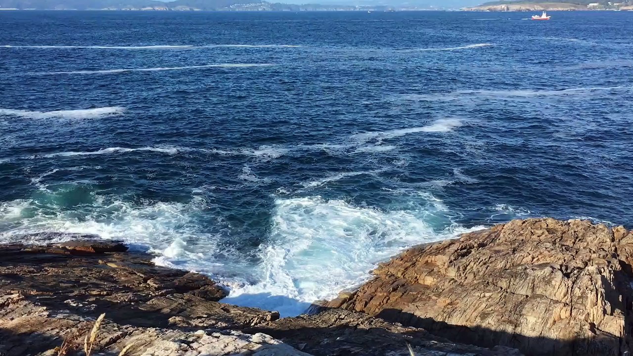 Alive And Sleeping, Nature Relaxing Music, Boday Relaxation