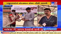 Banas Dairy begins artificial insemination of Kankrej cows with experts from NDDB, Banaskantha  TV9