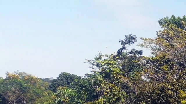 Boeing 737-800 PR-GUJ na aproximação final antes de pousar em Manaus vindo de Fortaleza