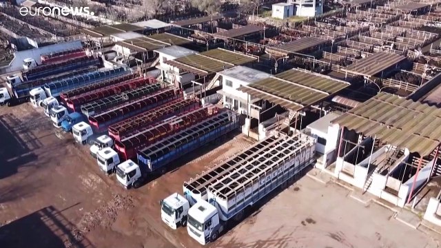 Gauchos weinen um den berühmten Rindermarkt von Buenos Aires