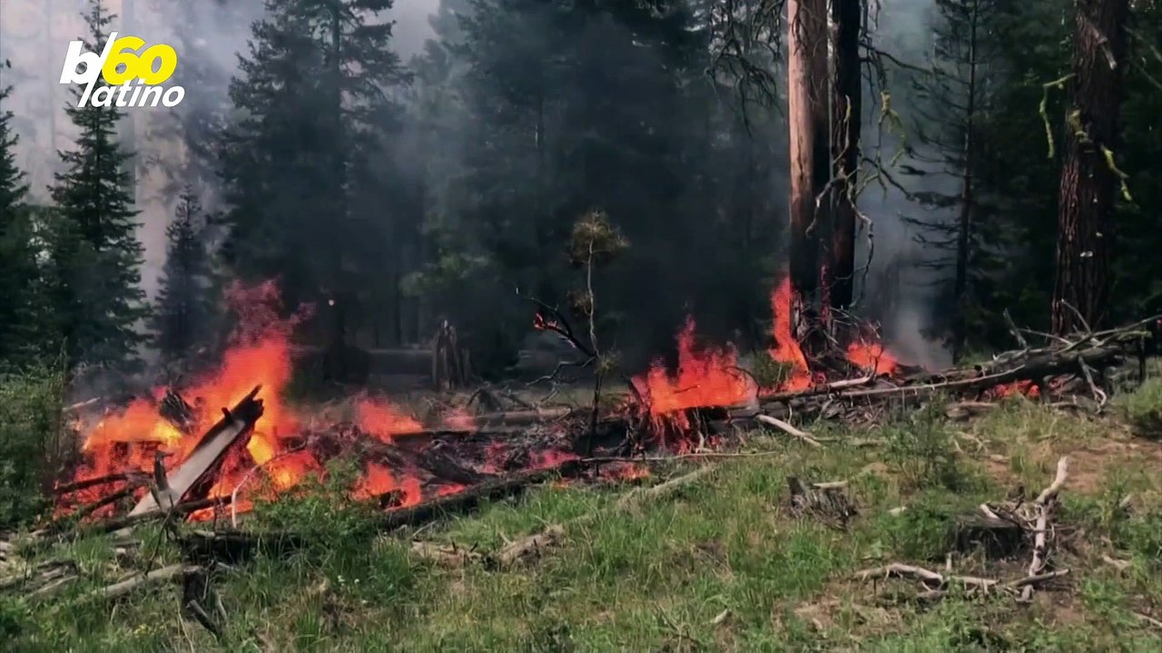 La Luna Llena Podría Volverse Roja Este Fin de Semana Debido Al Humo de Los Incendios Forestales