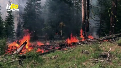 La Luna Llena Podría Volverse Roja Este Fin de Semana Debido Al Humo de Los Incendios Forestales