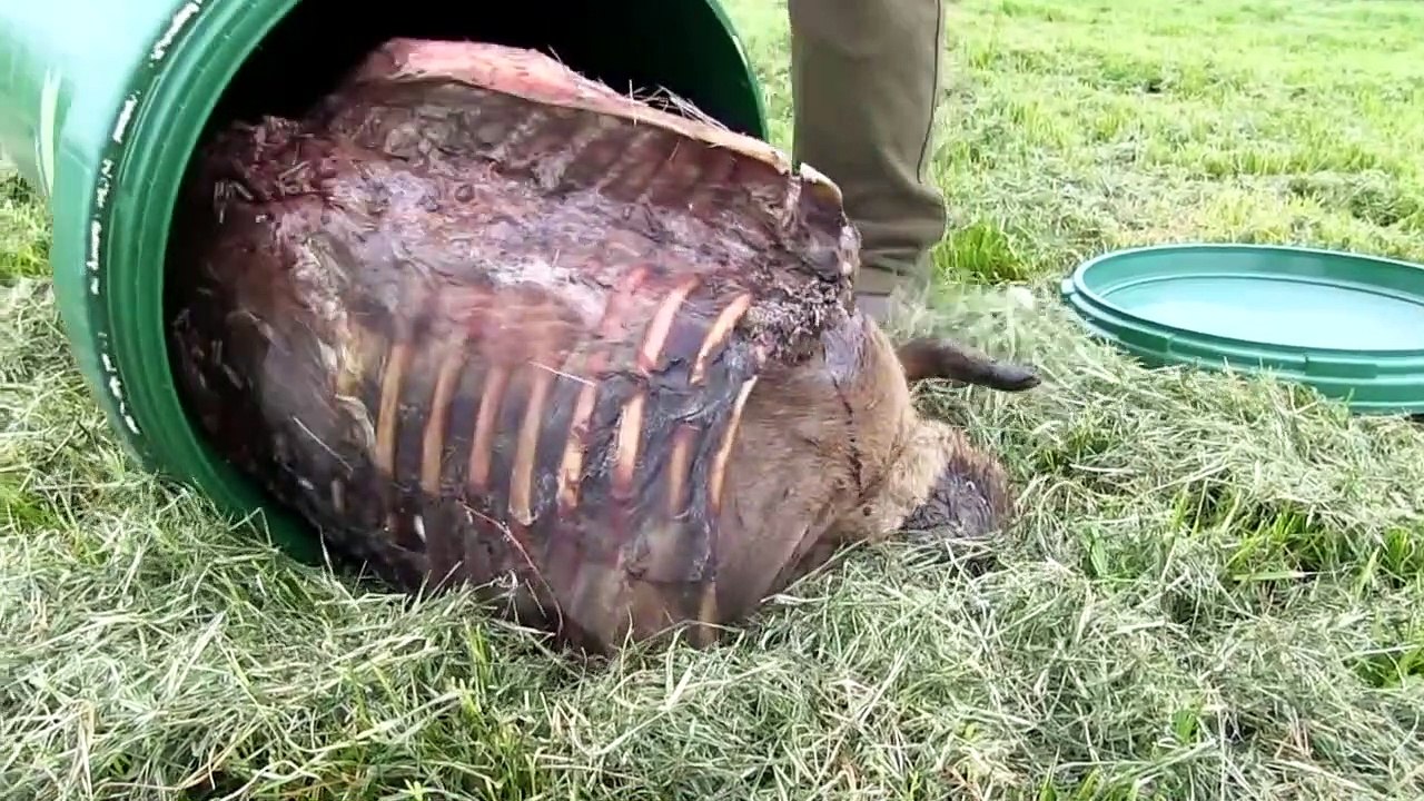 The Shooting Show foxing in the lap of luxury and Sauer 101 tested