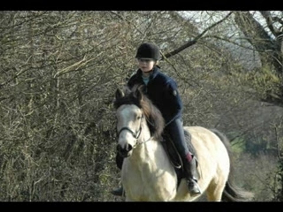 Notre histoire...jonquille et moi..