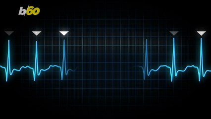 Can Watching Animal Videos Help Your Overall Health?