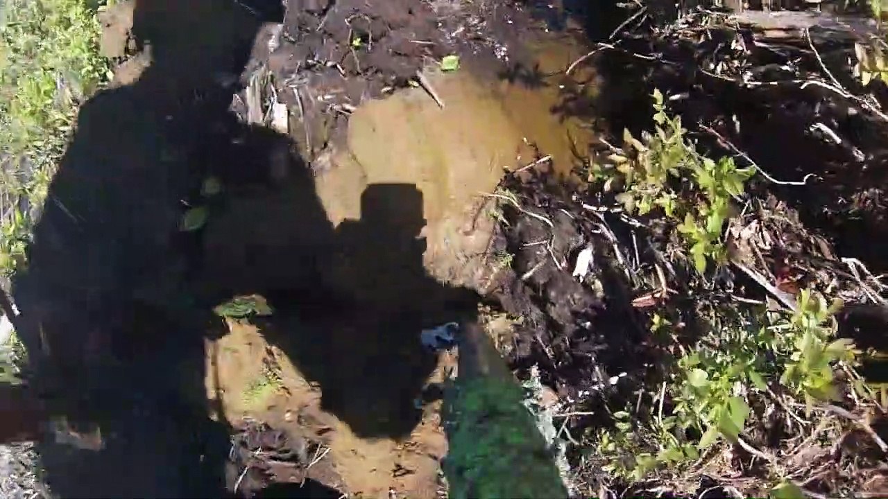 Tree Planting Northern Ontario GoPro