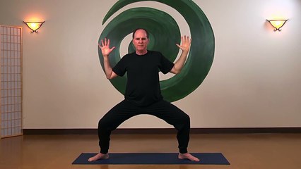 Pranakriya-Kripalu Yoga Moon Salute variation with Steve Wolf E-RYT 500