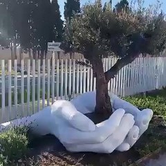 Beautiful telawate quran in beautiful nature