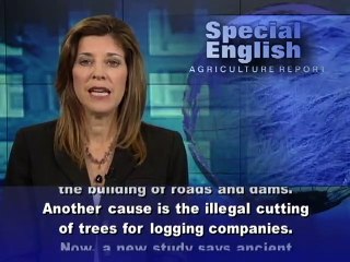 From Ancient Farmers, Lessons for Today's Amazon ( 480 X 640 )