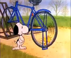 Charlie Brown Thanksgiving