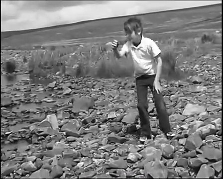 Handbags & the Gladrags - Rod Stewart