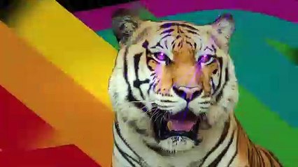 Cartoon Network   ¡Otra semana en Cartoon!   Episodio 2   2015