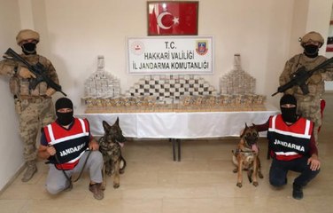 YÜKSEKOVA'DA, ARAZİDE 184 KİLO EROİN ELE GEÇİRİLDİ