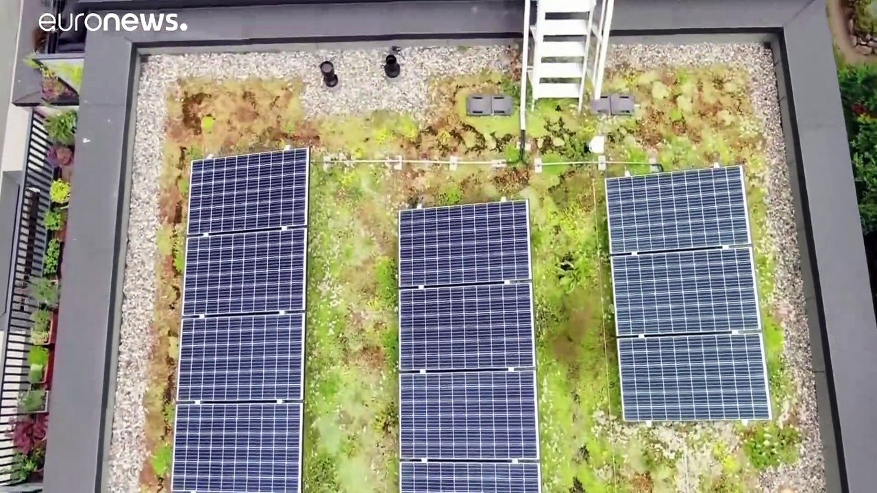 Cost of green energy transition must be distributed fairly, says MEP