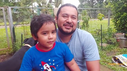 Construye un bancal para iniciar tu propio huerto urbano