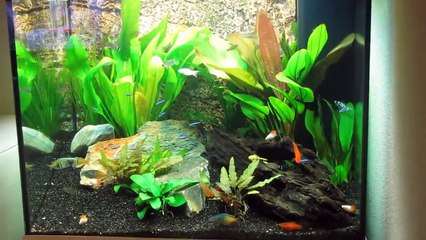 juwel lido 120 Wit. film 2.