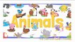 Animals Vocabulary Chant for Kids Animal Flashcards for Babies and Toddlers