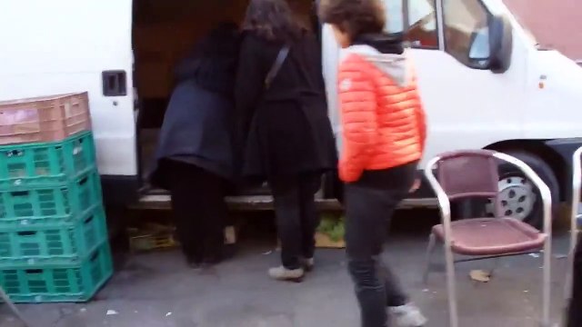 trafic de chardonnerets au marché aux puces de Marseille