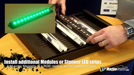 Ecoxotic Panorama Pro LED Light Fixture Product Demo