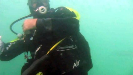 L'arbre aux brochets