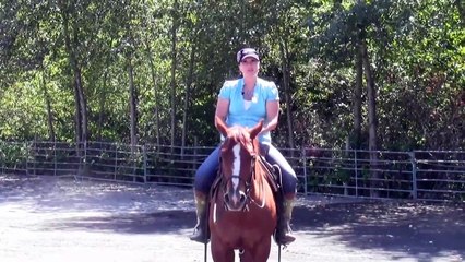 Cowgirl Wisdoms Turnaround Fix