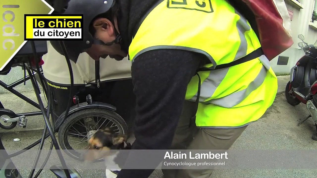 Le sac de vélo pour chien Rixen Kaul ou comment transporter son petit chien dans la ville