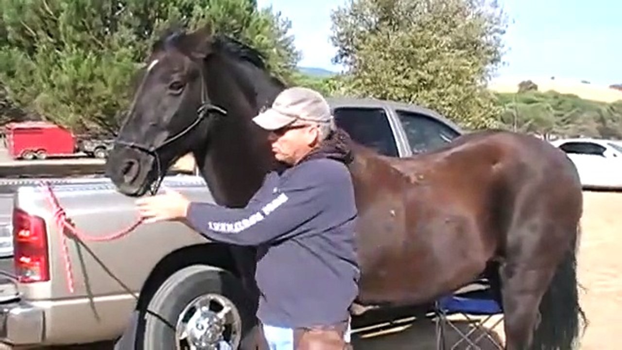 Proper fit of a Horse rope halter and cowboy halter - Rick Gore Horsemanship
