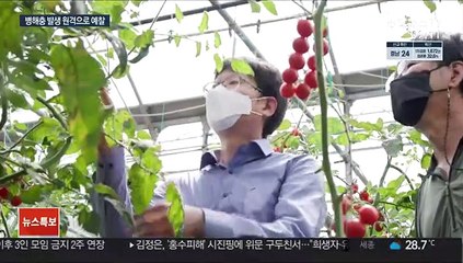 농작물 병해충 자동 예찰 장치…오토롤트랩 개발