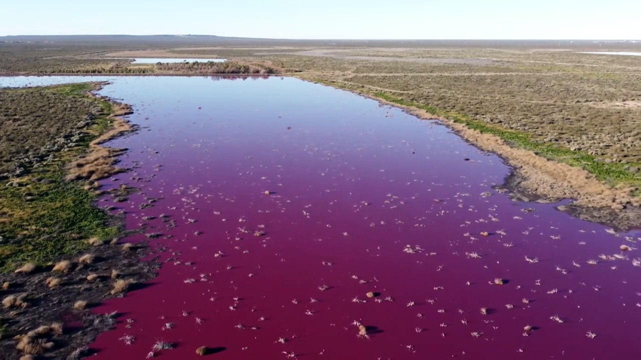 Poluição deixa lagoa rosa na Patagônia