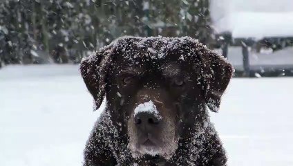 雪の中　by宝田章吾