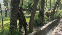 2 terrorists killed in encounter in Kashmir's Bandipora