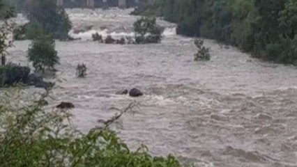 MP:Police saved people caught in water current while fishing