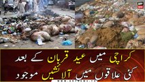 Animal waste rots on Karachi roads, people face difficulties
