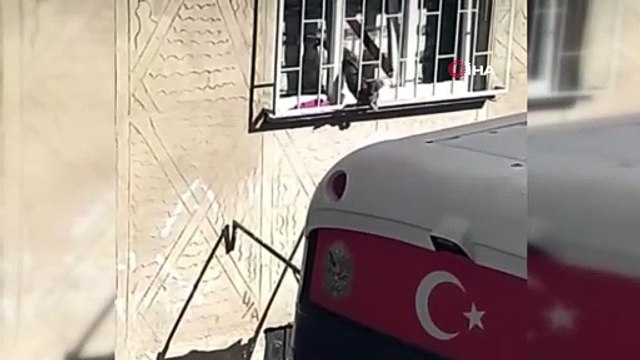 Avcılar'da pencereye sıkışan kedi tüm çabalara rağmen kurtarılamadı