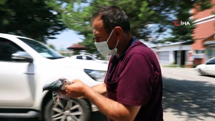 Balkona sığınan kanadı kırık güvercine şefkat eli