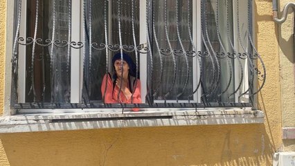 İstanbul'un göbeğinde yılan paniği