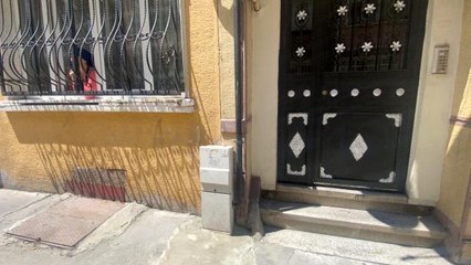 İstanbul'un göbeğinde yılan paniği