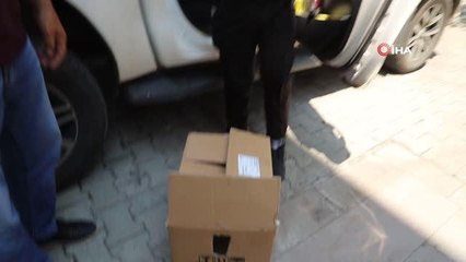 Balkona sığınan kanadı kırık güvercine şefkat eli