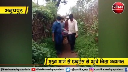 अनूपपुर : बीमार महिला को खाट पर  एक किमी  ले गए परिजन