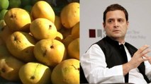 Dusheri is too sweet for me -Rahul Gandhi said on UP mangoes