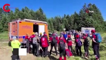 Uludağ’da odun toplamak için ormana giren yaşlı kadın kayboldu