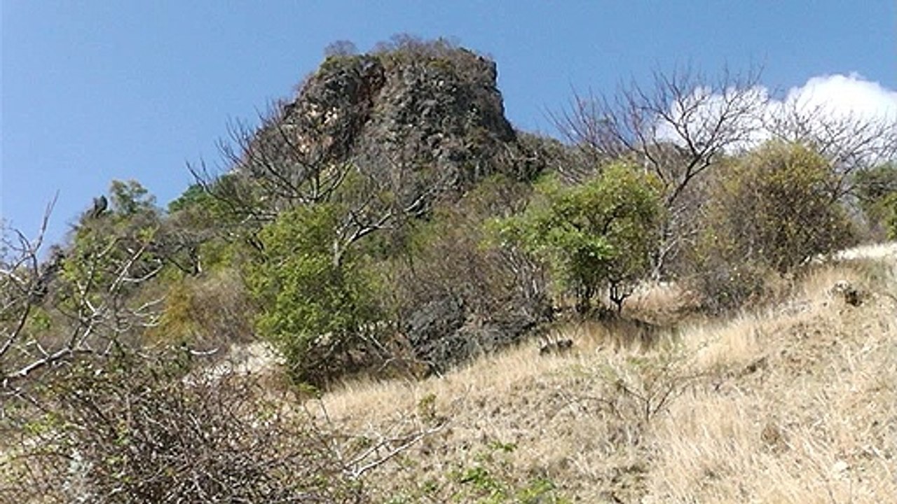 ELSENDO N°111