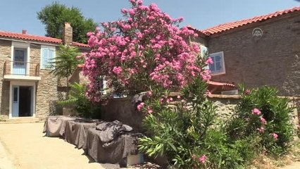 ÇANAKKALE - Türkiye'nin en büyük adası sağlıklı beslenmeyi tercih edenlerin yeni adresi olacak