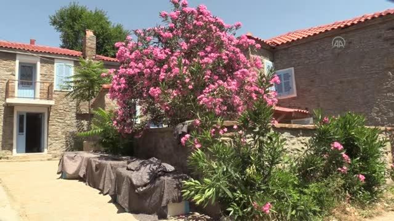 ÇANAKKALE - Türkiye'nin en büyük adası sağlıklı beslenmeyi tercih edenlerin yeni adresi olacak